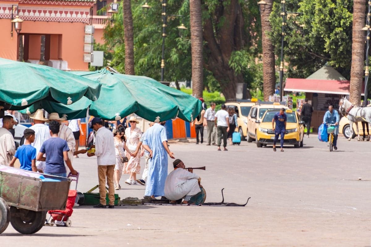 Marrakech — la ville ocre